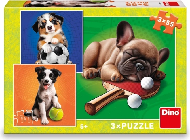 DINO Puzzle Hundsportler