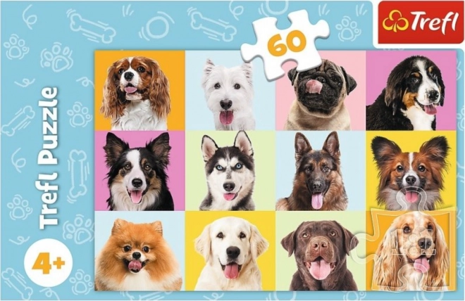 Süße Hunde Puzzle 60 Teile