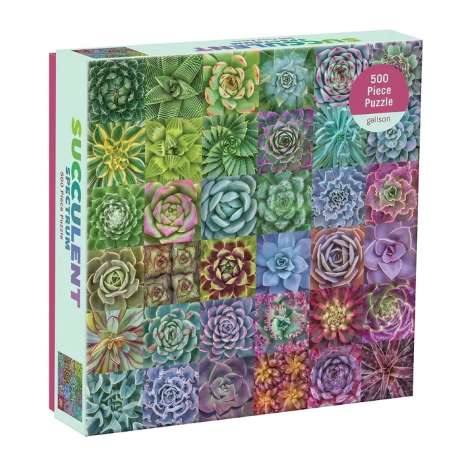 Puzzle Bunte Sukkulenten 500 Teile GALISON