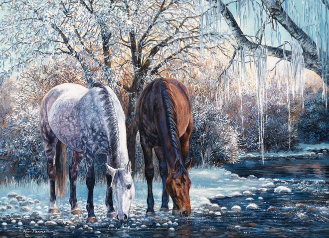 Atemberaubende Winterlandschaft