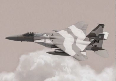 Plastikmodellbausatz F-15C Eagle