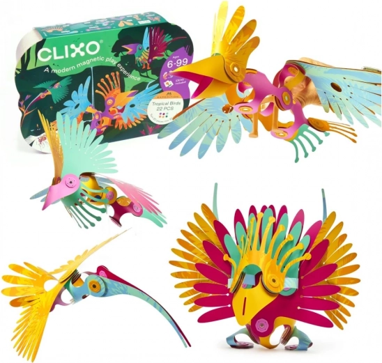 Magnetische Bausätze Clixo - Tropische Vögel - 22 Teile