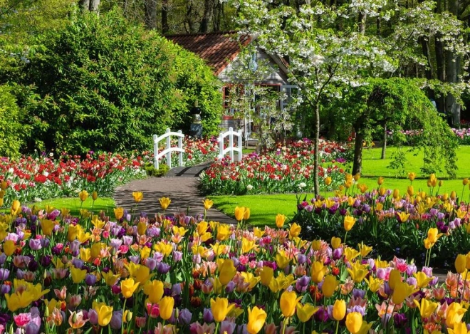 Bezauberndes Motiv der Keukenhof-Gärten