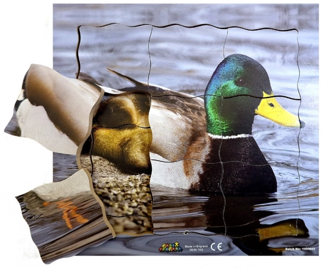 Just Jigsaws Enten-Lebenszyklus Holzpuzzle