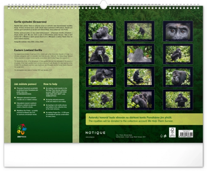 Notique Wandkalender Majestätische Gorillas 2025