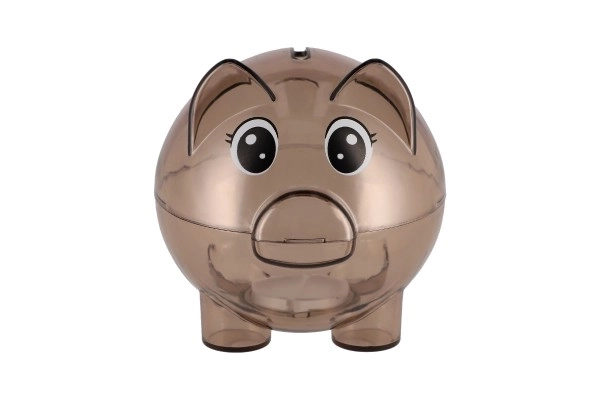 Sparschwein Transparent 10cm Mischdesign