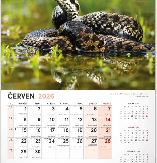 Jagd-Wandkalender 2026