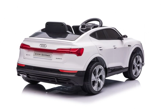 Audi E-Tron Autobatterie Weiß QLS-6688