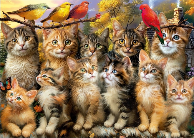 Puzzle Katzen und Vögel 500 Teile