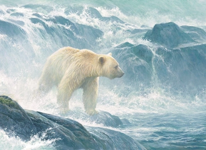 Puzzle Lauer auf Lachse – Eisbär 500 Teile