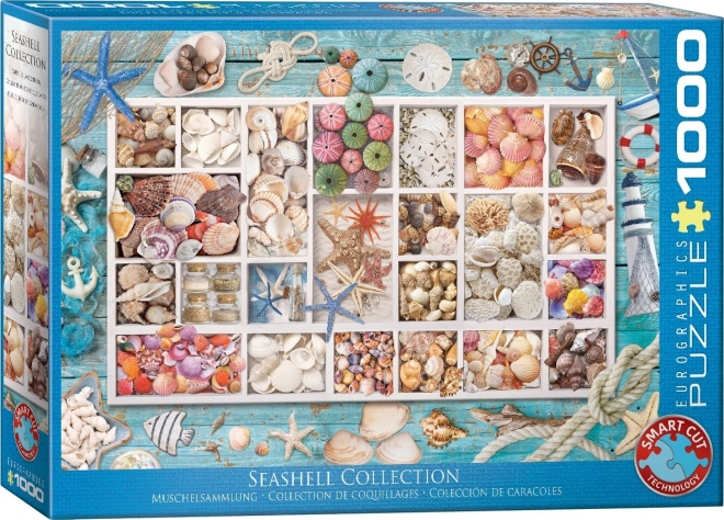 Eurographics Puzzle Laurinas Muschelsammlung 1000 Teile