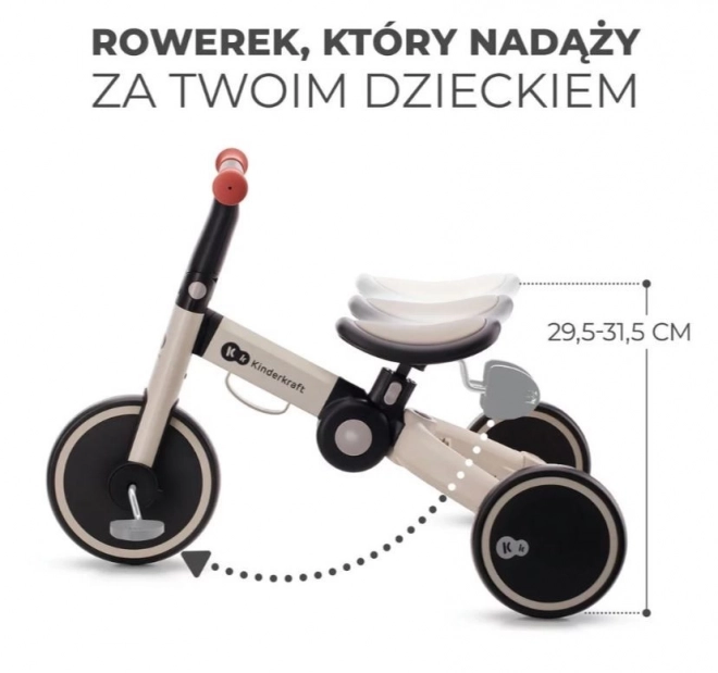 Dreirad 4TRIKE Silber Grau