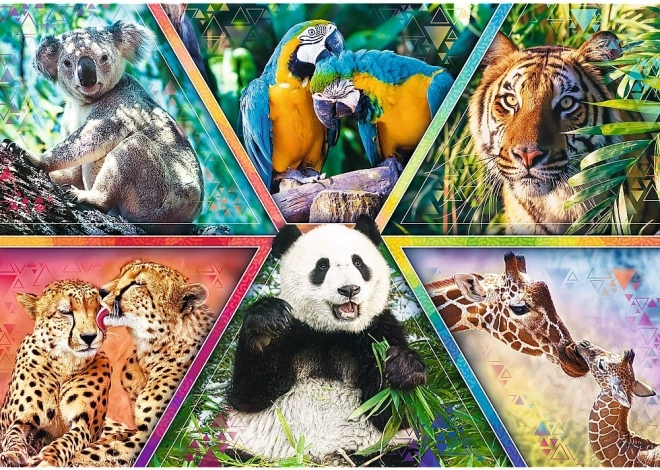 Lebhafte Collage der wilden Natur