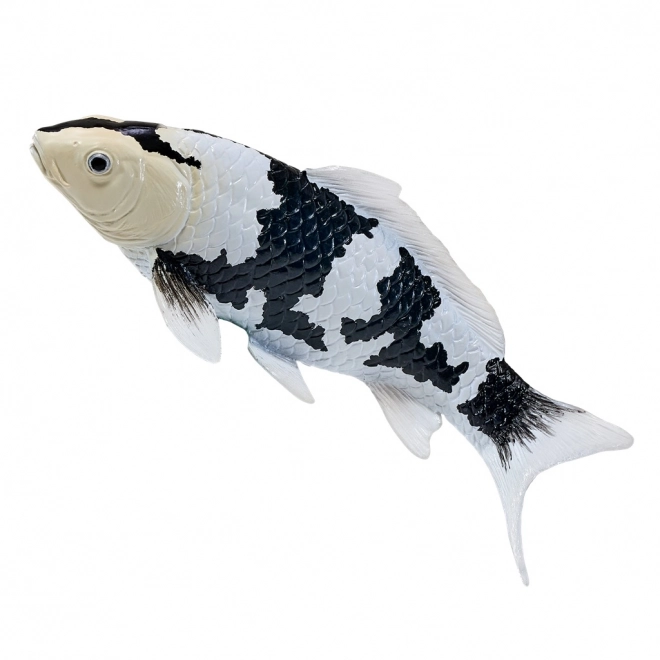 Mojo Karpfen Koi Shiro Utsuri