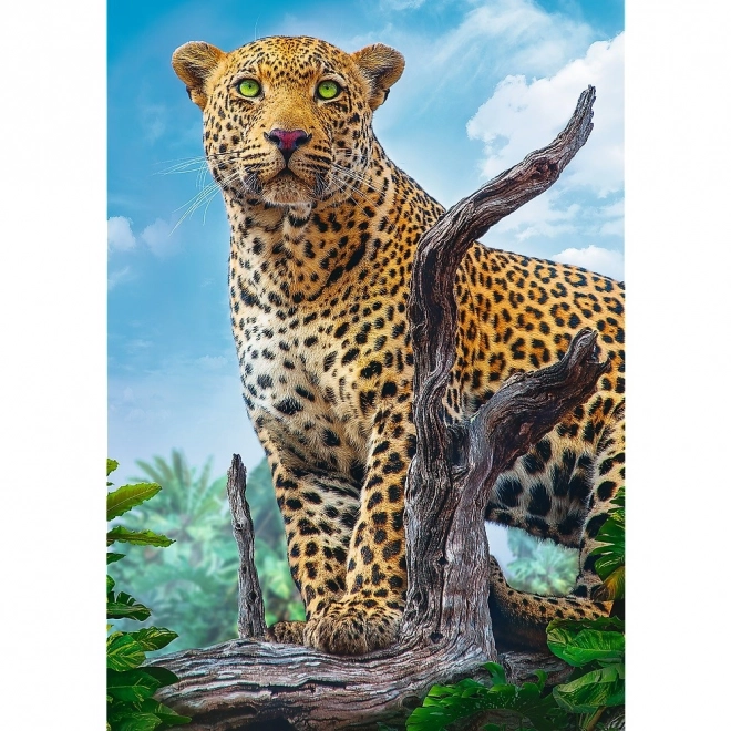 Puzzle Wild Leopard 500 Teile