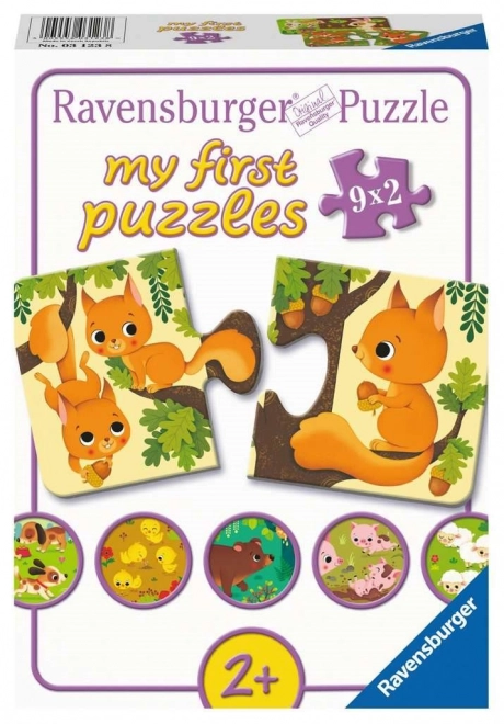Erste Puzzles Tiere und ihre Jungen