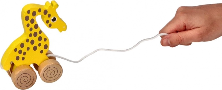 Unterstützung der ersten Schritte