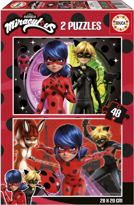 Puzzle Miraculous Ladybug und Cat Noir