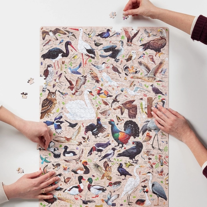 Puzzlove CzuCzu Vögel Polens 1000 Teile