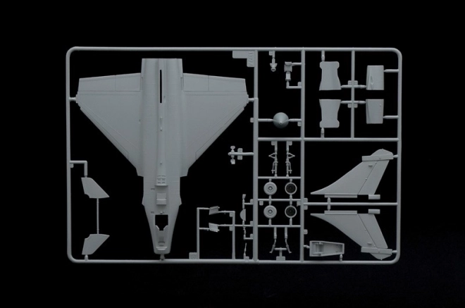 Plastikmodell Rafale M Operations Exterieures