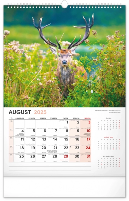 Notique Jagdkalender 2025