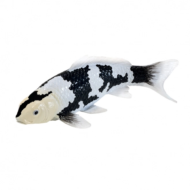 Mojo Karpfen Koi Shiro Utsuri