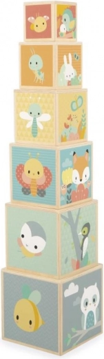 Hochwertige Holzqualität mit Illustrationen