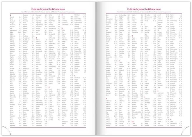 Notizbuch Wochenplaner Balacron 2025 Schwarz