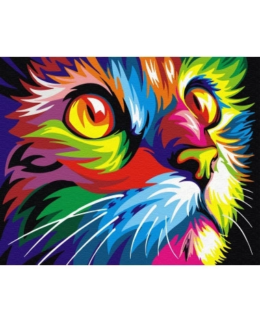 Malen nach Zahlen Regenbogenkatze Leinwandset