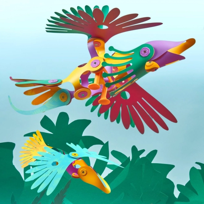 Magnetische Bausätze Clixo tropische Vögel aus dem Regenwald