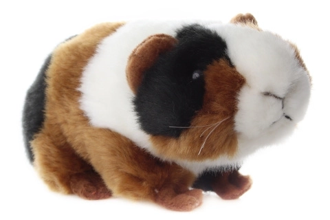 Plüschmeerschweinchen Kuscheltier