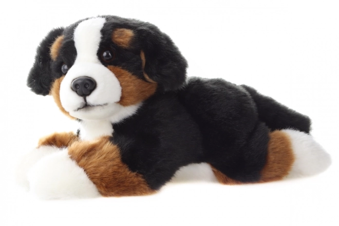 Plüsch Berner Sennenhund 25 cm