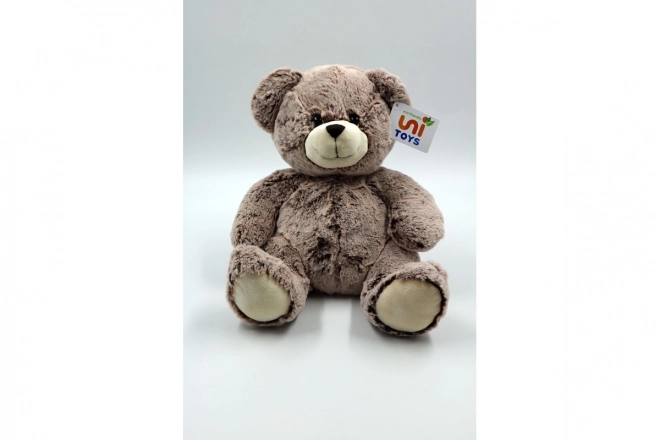 Plüsch Teddybär Eco-Friendly 28 cm