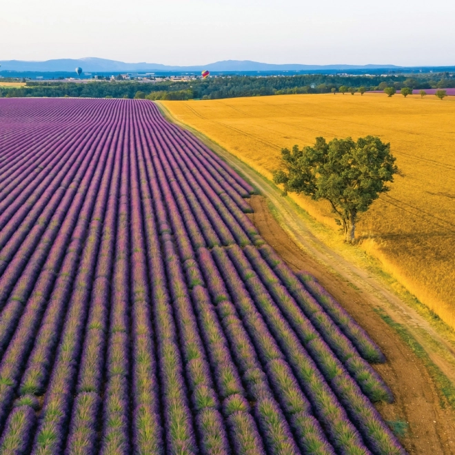 Notizkalender Provence 2026