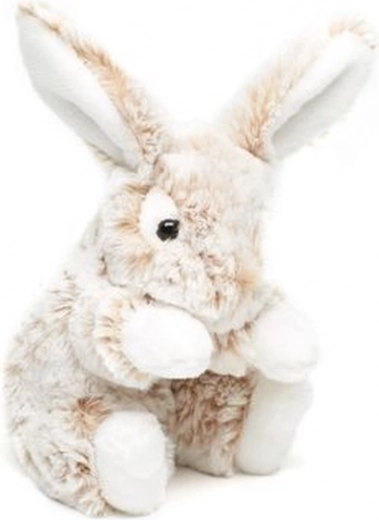 Ideale Größe 20 cm