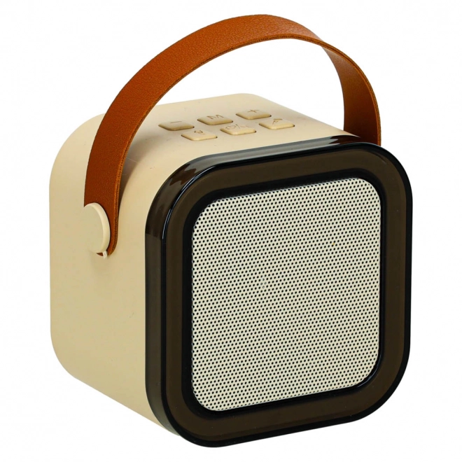 Karaoke-Set mit 2 Mikrofonen und Bluetooth-LED-Lautsprecher