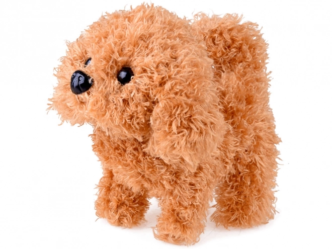 Interaktiver Welpe Tierarzt-Set für Kinder