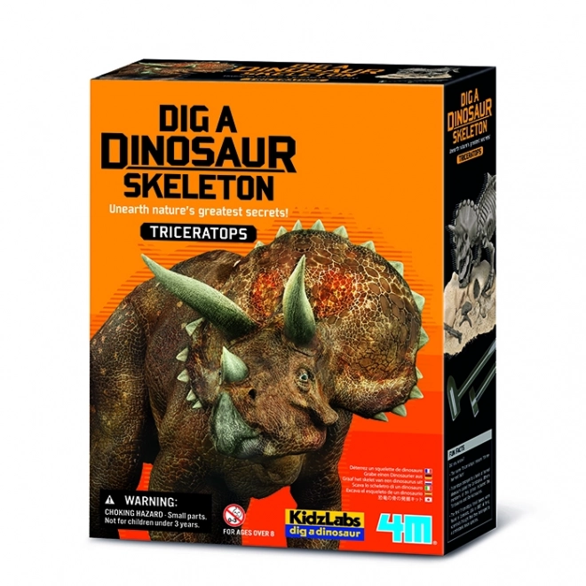Dinosaurierskelett - Triceratops
