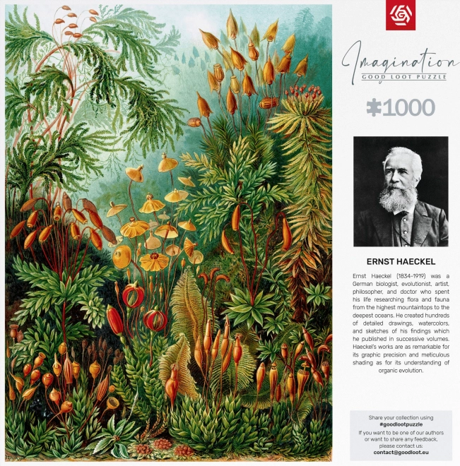 Good Loot Puzzle Imagination: Ernst Haeckel - Muscinae 1000 Teile