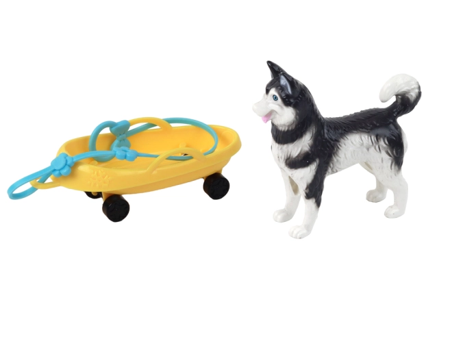 Husky-Hund als treuer Begleiter