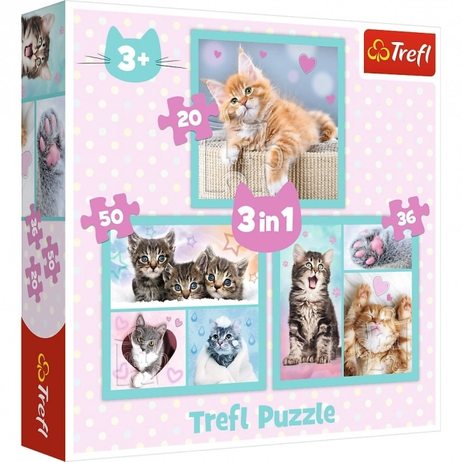 Süße Tierchen Katzen Puzzle 3-in-1