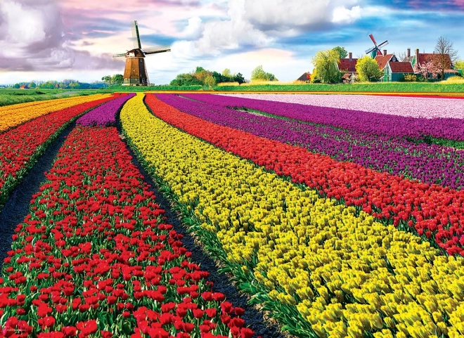 EUROGRAPHICS Puzzle Tulpenfeld – 1000 Teile