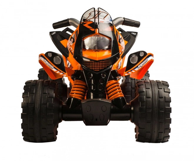 Elektrische Kinder-Quad THE BEAST 6V