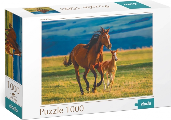 Dodo Puzzle Fohlen Erziehung 1000 Teile