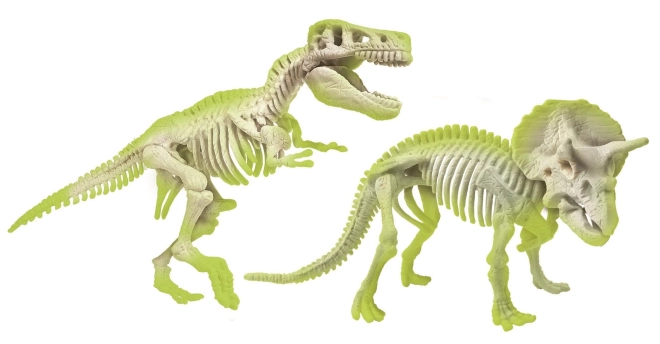 Leuchtende Dinosaurierskelette