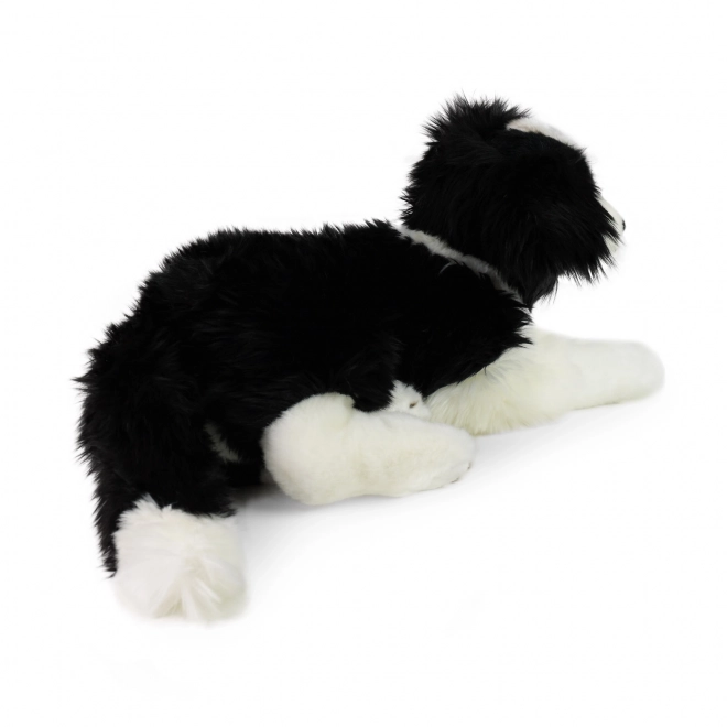Plüschhund Border Collie 45 cm umweltfreundlich