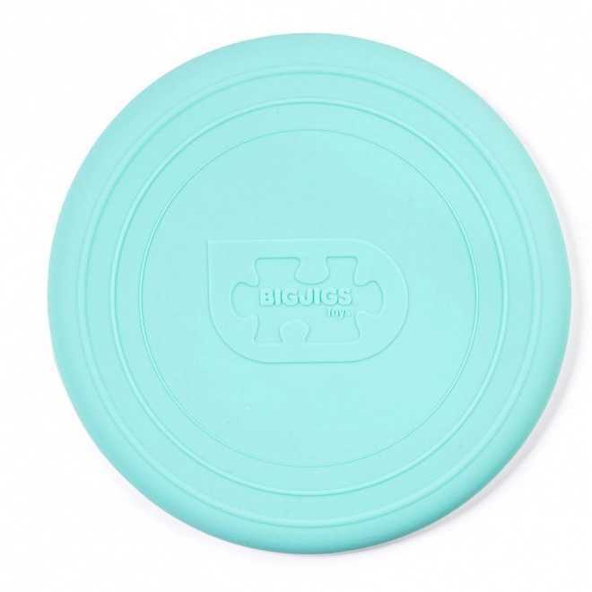 Bigjigs Toys Frisbee Grün