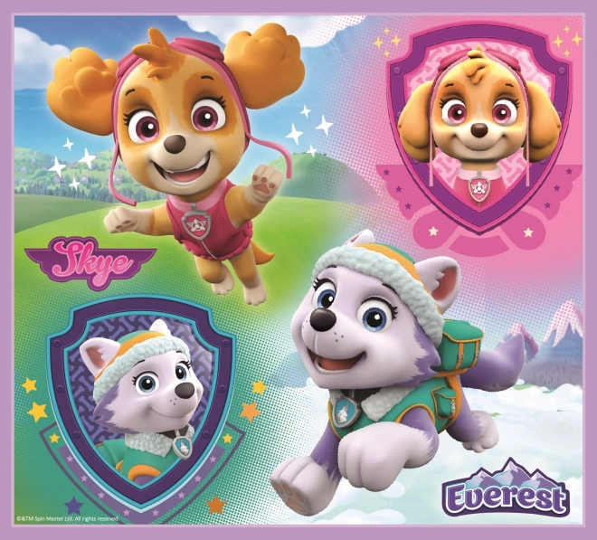 TREFL Puzzle mit Suchspiel Paw Patrol 4-in-1 Set