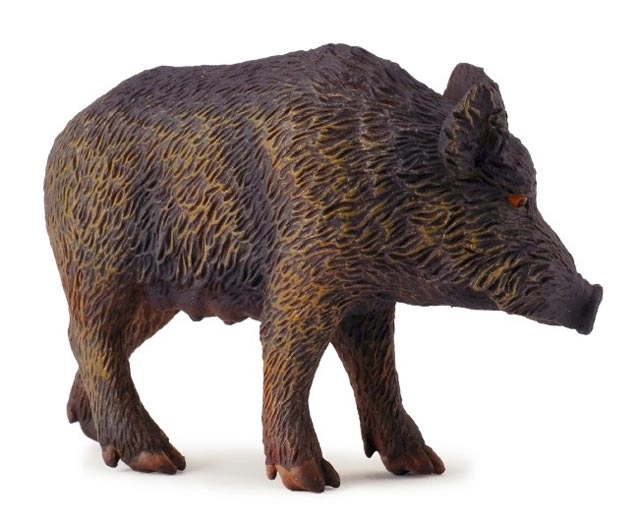 Collecta Wildschwein Bachyně