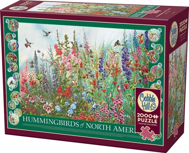 Puzzle Kolibris Nordamerikas 2000 Teile von Cobble Hill